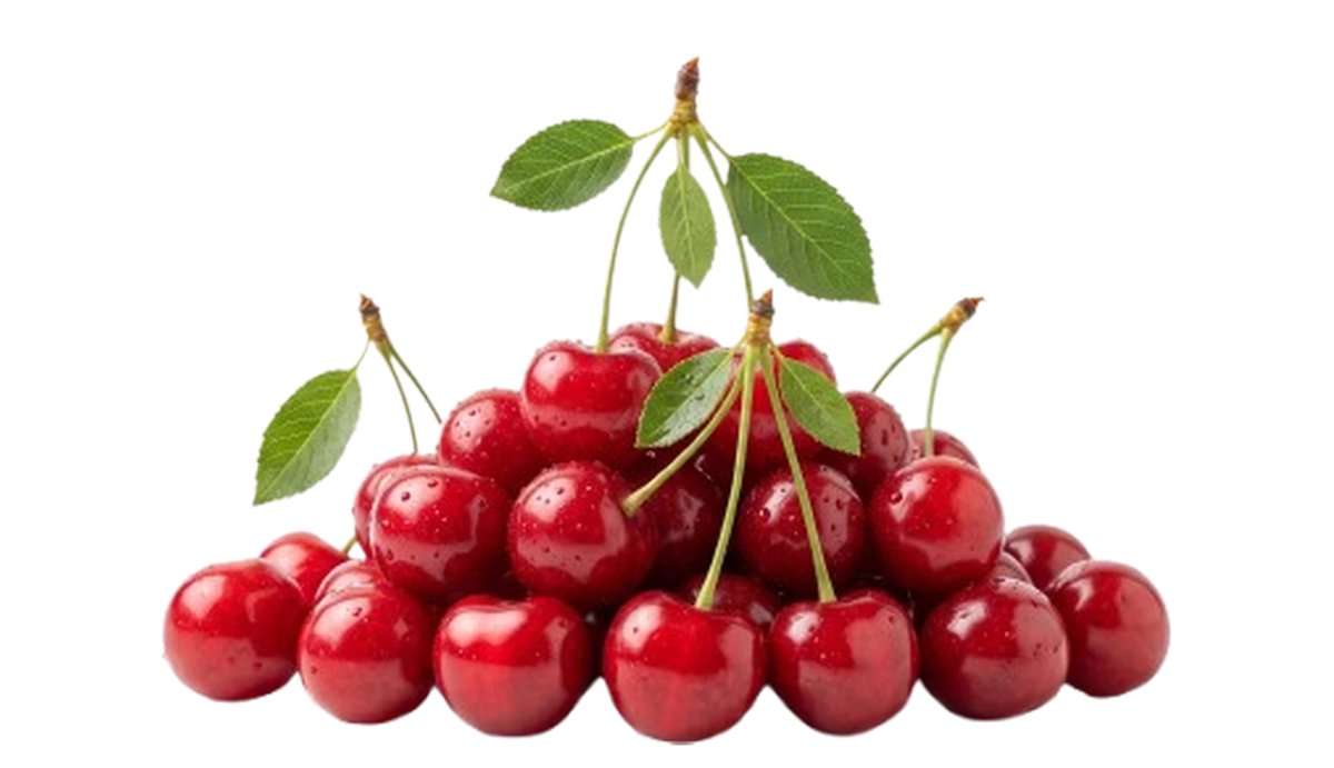 sibi-home-ingredientsoverview-night-top.webp